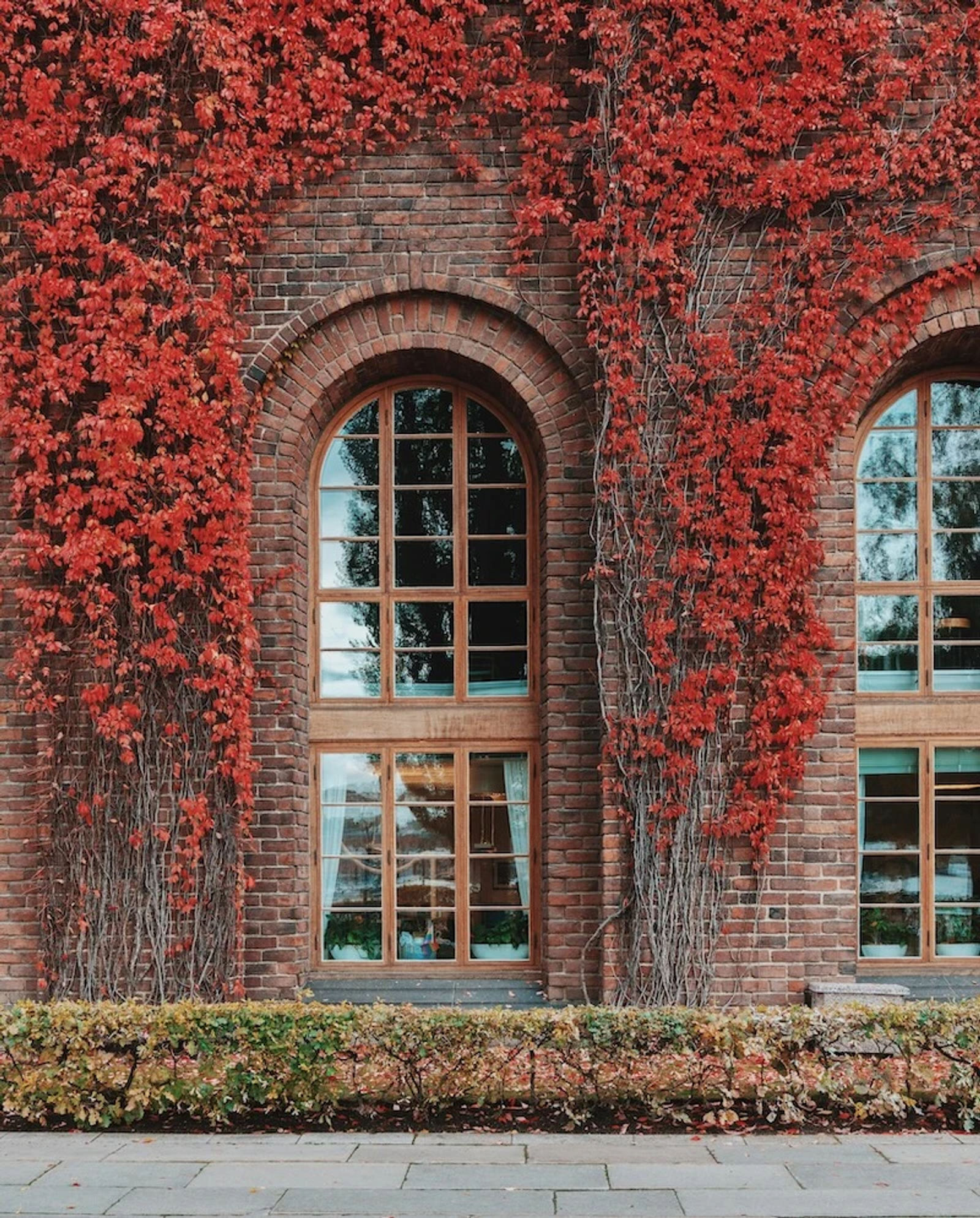 Fylliga röda viner för kalla höstdagar