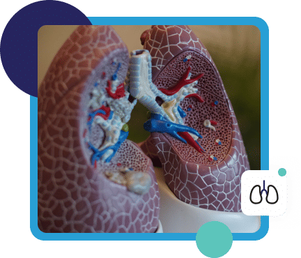 Bedah Ortopedi dan Traumatologi