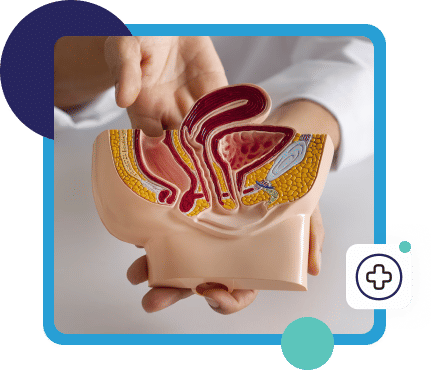 Bedah Ortopedi dan Traumatologi
