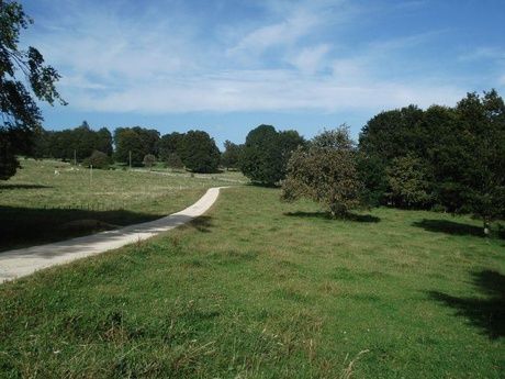 Weg in Waldweide / Romontberg