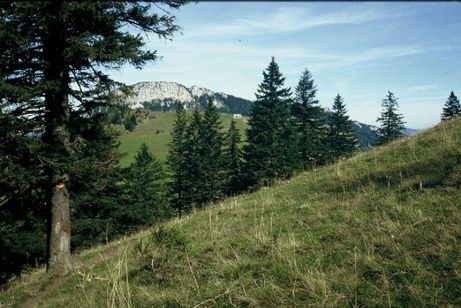 Aiguilles de Baulme