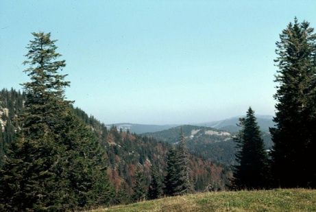 Ausblick in die Ferne