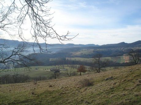 Blick über das Laufner Becken