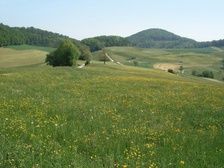 Jura-Landschaft