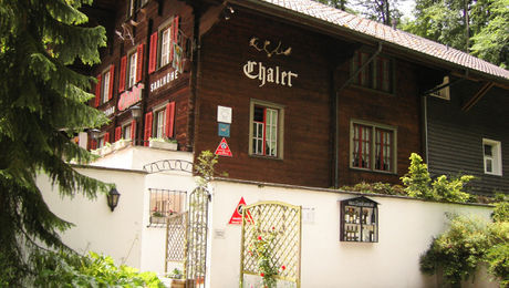 Chalet Saalhöhe