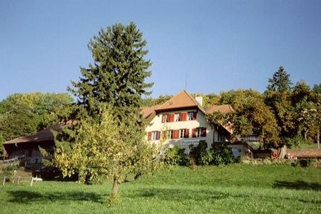 Bergwirtschaft Allerheiligenberg