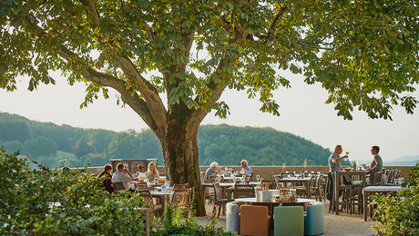 Garten im Bad Ramsach Quellhotel