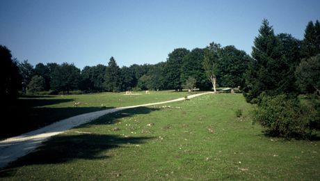 Montagne de Romont