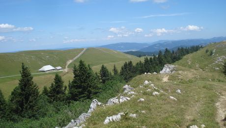 Sömmerungsbetrieb am Chasseral