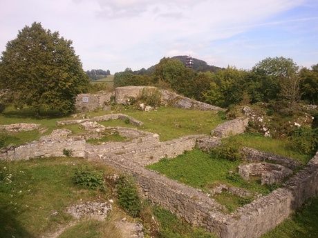 Ruie Frohburg, Trimbach