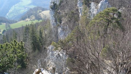 Auf dem Roggen, Blick in die Klus