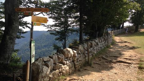 Trockensteinmauer am Abgrund des Creux du Van