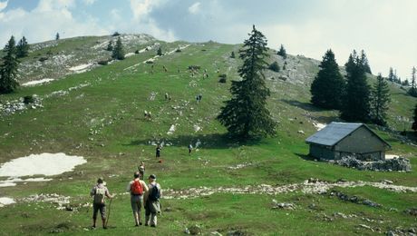 Wandergruppe auf dem Mont-Tendre