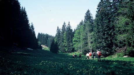 Parklandschaft