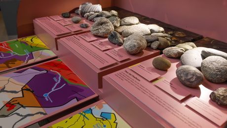 Exposition spéciale - kleiner Kiesel ganz gross - Donato Caspari, Naturmuseum Winterthur 