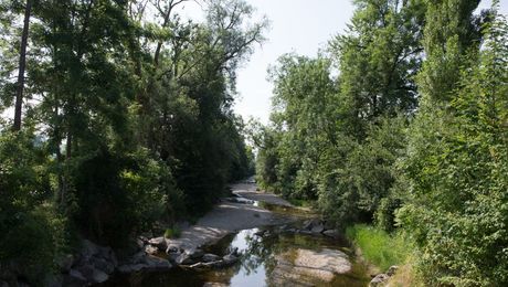 Impressionen vom AareLandWeg zwischen Aarau und Dagmersellen