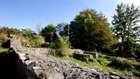 Ruine Froburg