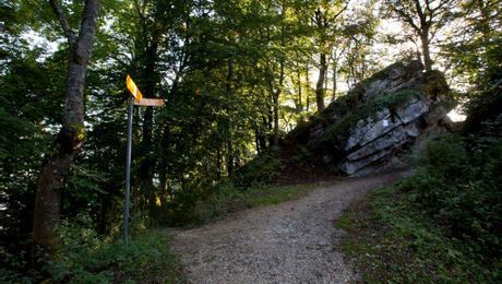 Wanderweg zur Ruine