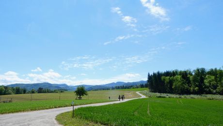 Diegten, Zubringer über Zunzgerberg in Richtung Belchen