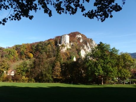 Solothurner Waldwanderung