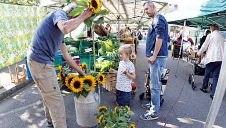 Wochenmarkt Bifangstrasse