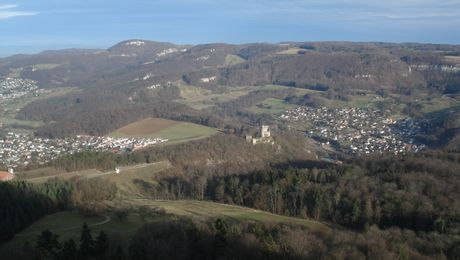 Blick auf Ruine Pfeffingen