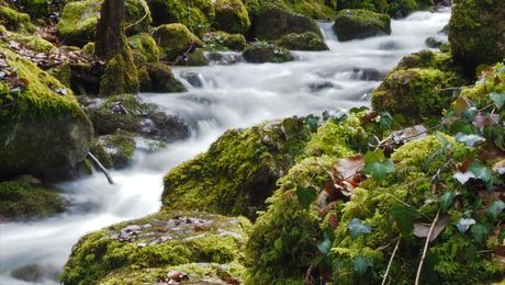 Der Cholersbach in der Tüfelsschlucht