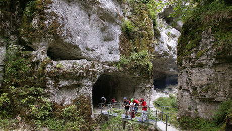 Tüfelsschlucht im Sommer