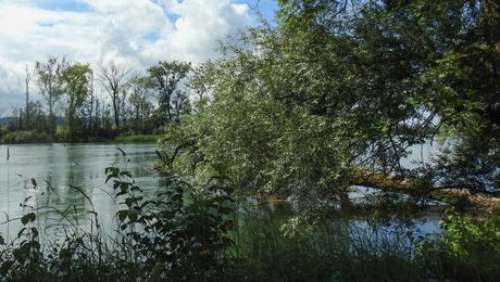 SchweizMobil: Zwischen Solothurn und Selzach