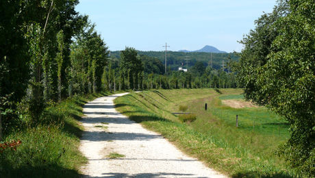 Kanalweg