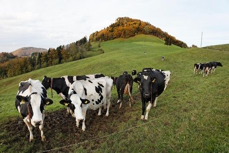 Verkehrsvereine Region Olten