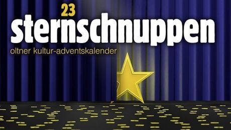 23 Sternschnuppen