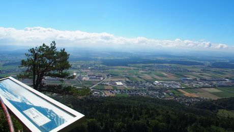 Höchi Flueh