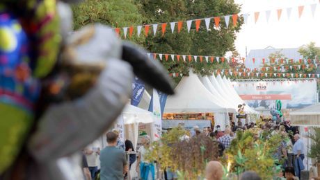Messe in Olten - Finja Basan