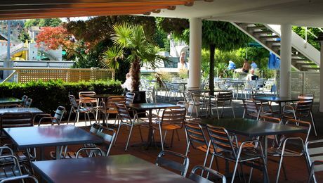 Palmaares