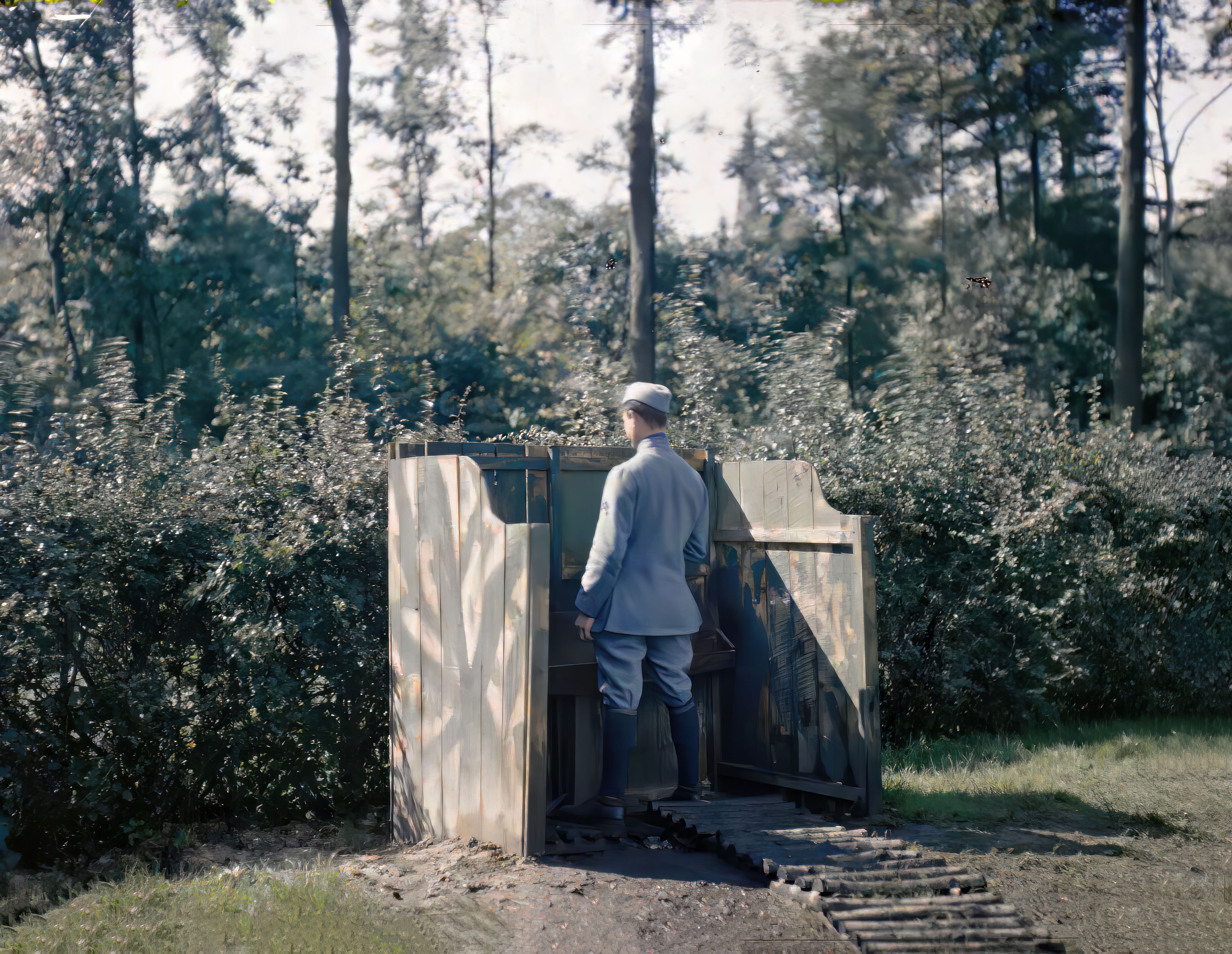 Camouflaged toilet in WW1