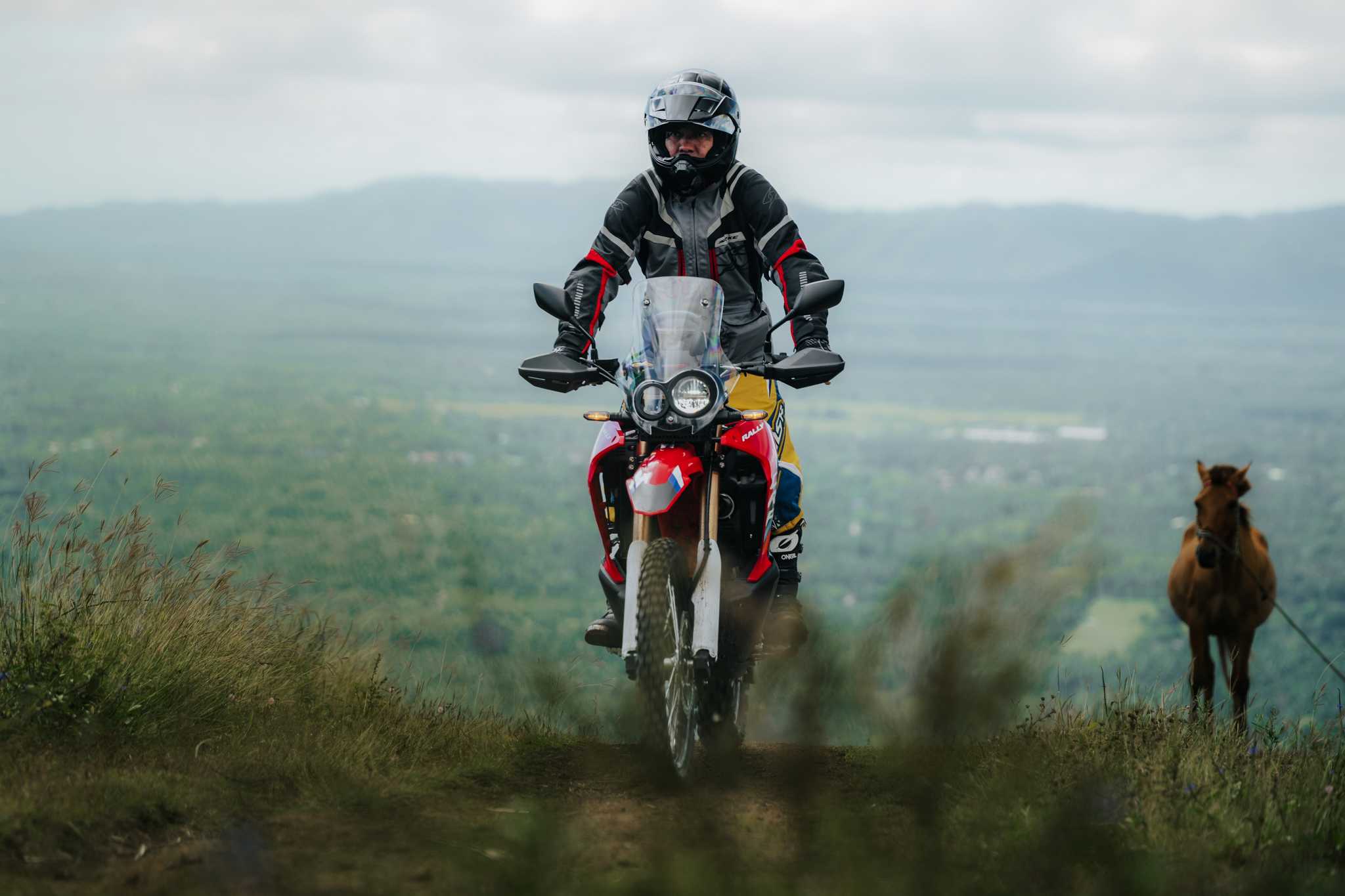 Honda Off-road - Image 7
