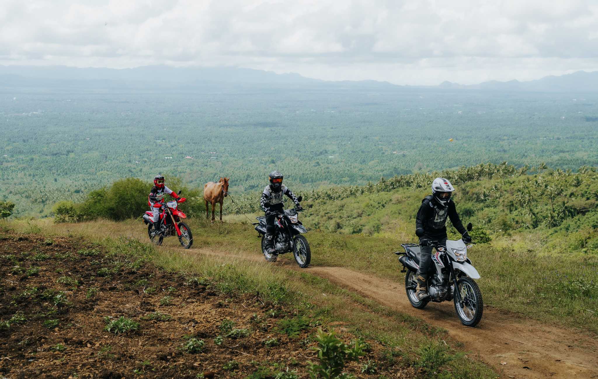 Honda Off-road - Image 3