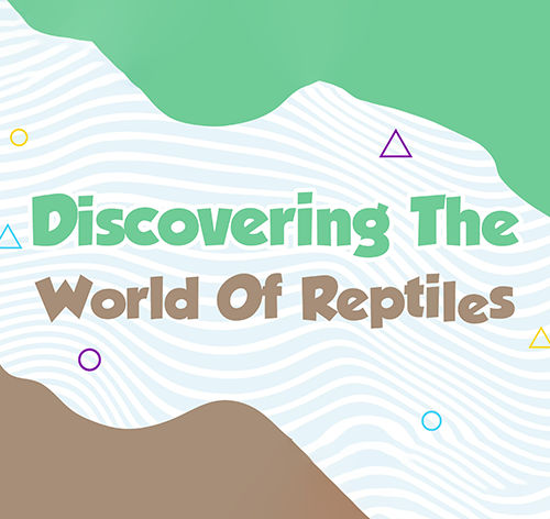 Discovering the World of Reptiles