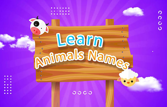 learn animals names