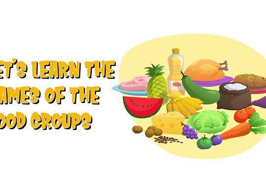 Lets learn the name of the food groups