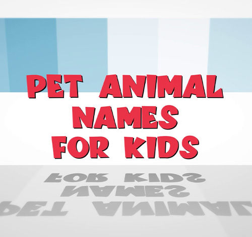 Pet Animal Names for Kids