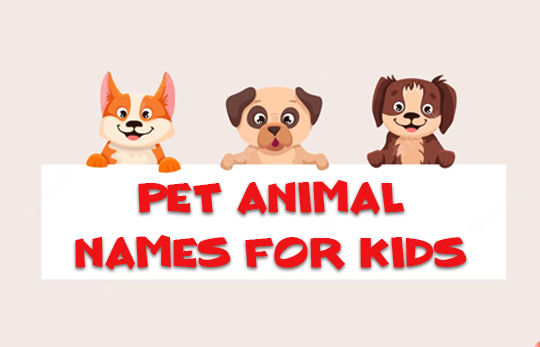 pet animal names for kids