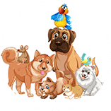 Pet Animal Names for Kids