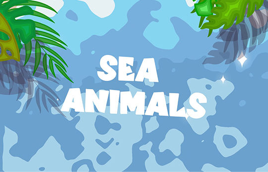 sea animals