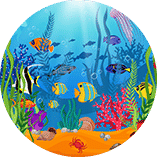 Sea Animals