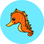 Underwater Wonders
