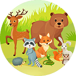 Walk in the Forest