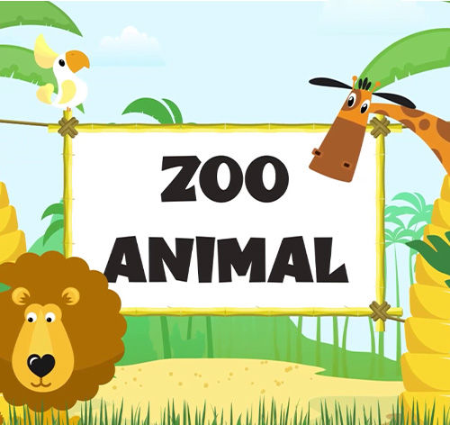 Zoo Animals