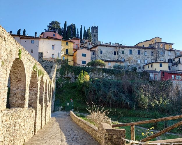 Barga in rosa: storie di donne della vecchia Barga